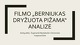 Filmo „Berniukas Dryžuota pižama“ analizė