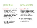 Įterpiniai skaidrės 2