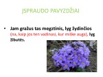 Įterpiniai skaidrės 3