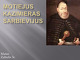 Motiejus Kazimieras Sarbievijus: biografija ir kūryba 