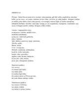 Eglė žalčių karalienė aprašymas 3