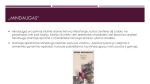 J. Marcinkevičius knygos „Mindaugas“ pristatymas 3