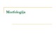 Morfologija projektas 
