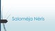 Salomėja Nėris: gyvenimas ir kūryba 