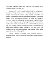 Ignas Šeinius Kuprelis recenzija 2