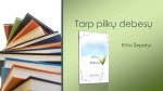 R. Šepetys knygos „Tarp pilkų debesų“ analizės pristatymas 1