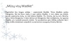 Astrida Lindgren knygos „Mūsų visų Madikė“ pristatymas 3