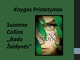 S. Collins knygos „Bado Žaidynės“ pristatymas
