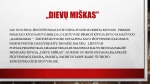 Dievų miškas: Knyga ar filmas? 3