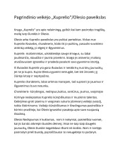 Ignas Šeinius „Kuprelis“ Kuprelio paveikslas 1