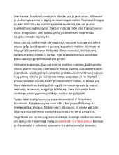 Ignas Šeinius „Kuprelis“ Kuprelio paveikslas 2