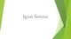 Ignas Šeinius: biografija ir kūrybos bruožai