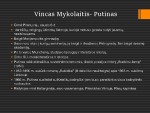 Vinco Mykolaičio - Putino gyvenimo ir kūrybos bruožai 3