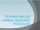 Tėvynės meilė Maironio poezijoje