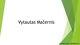 Vytautas Mačernis: asmenybė ir kūryba 