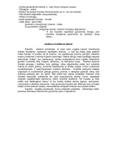 Ignas Šeinius 2