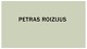 Petras Roizijus: biografija ir kūryba