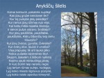 Anykščių šilelis skaidrės 2