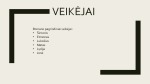 Knygos „Aukštųjų Šimonių likimas“ veikėjų pristatymas 2