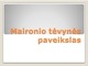 Maironio tevynės paveikslas