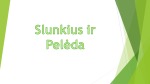 Slunkius ir Pelėda 1