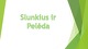 Slunkius ir Pelėda