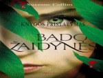 S. Collins knygos „Bado žaidynės“ pristatymas: tema, veikėjai, problemos 1
