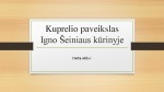 Kuprelio paveikslas Igno Šeiniaus kūrinyje 1