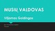 Vilijamo Goldingo knygos „Musių valdovas“ 