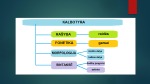Fonetika projektas 2