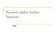 Nosinės raidės žodžių kamiene