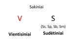 Sakinių rūšys projektas 2
