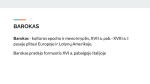 Baroko sąvoka, kilmė ir atsiradimo priežastys 2