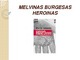 Heroinas knyga skaidrės