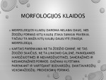 Morfologijos klaidos prezentacija 3