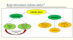Sakinio dalys projektas 3
