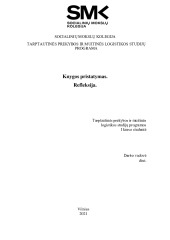 Saviugdos knygos refleksija 1