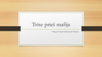 Daivos Vaitkevičiūtės knygos „Tryse prieš mafiją“ pristatymas 1