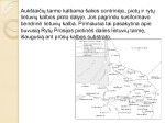 Lietuvių tarmės skaidrės 3
