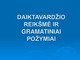Daiktavardžio reikšmė ir gramatiniai požymiai