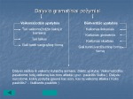 Dalyvis lietuvių kalbos dalis 3