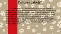 „Ką šunys galvoja?“ Bestseleris knygos pristatymas 2