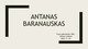 Poetas Antanas Baranauskas skaidrės