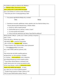 „Radviliada“ Radvilo Rudojo portretas 2