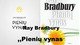 Ray Bradbury „Pienių vynas“ knygos pristatymas