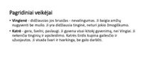 „Marti“ knygos pristatymas 3