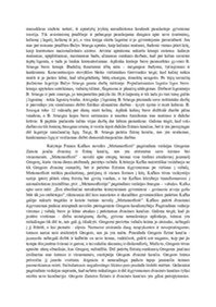 Žmogaus fizinė ir dvasinė kančia literatūroje 2