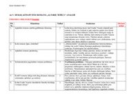 V. Mykolaitis - Putinas romanas „Altorių šešėly“ analizė 1
