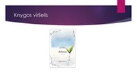Apie knygą „Tarp pilkų debesų“ 3