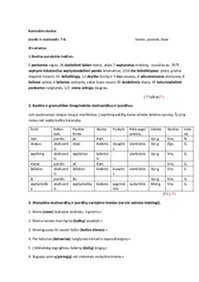 Įvardis ir skaitvardis kontrolinis darbas 7 klasei 1